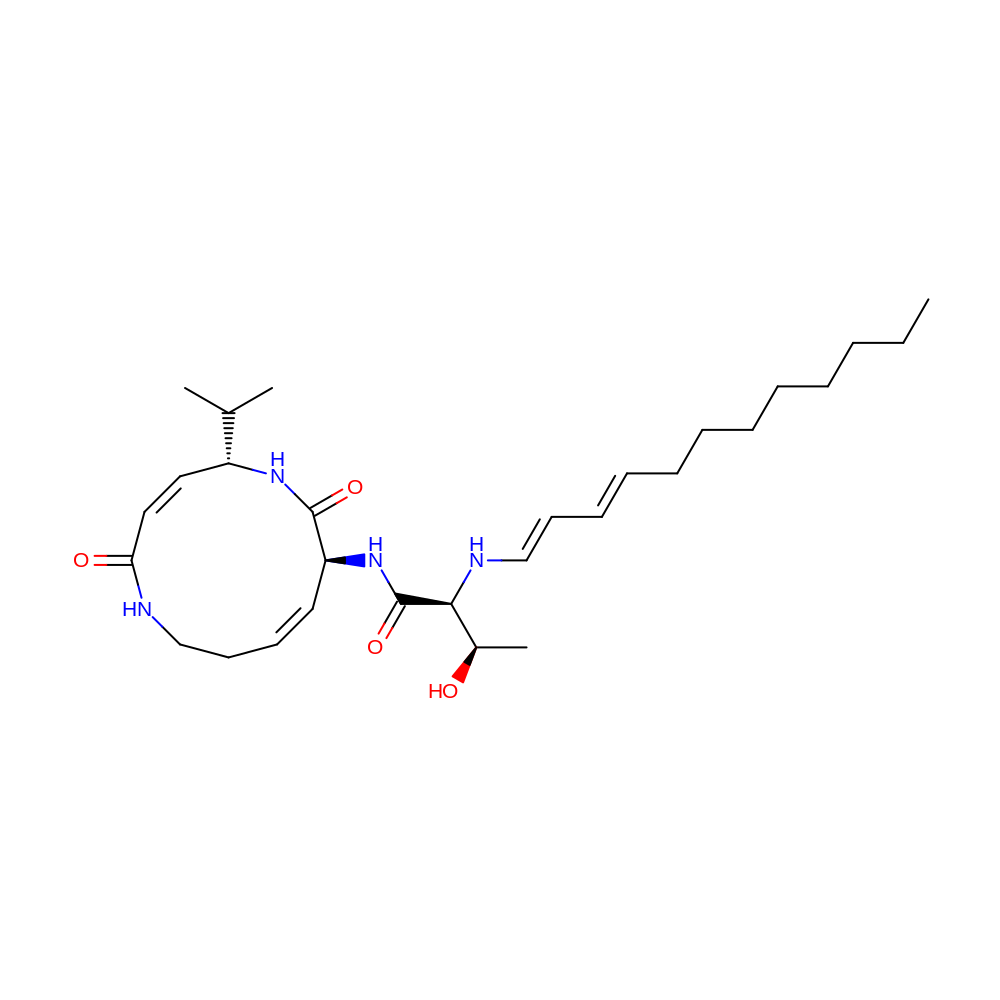 2D structure