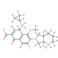 molecular structure