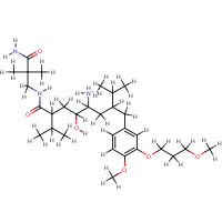 molecular structure