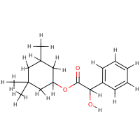 molecular structure
