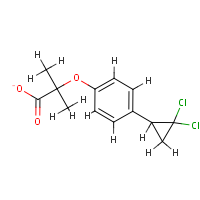 molecular structure