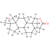molecular structure